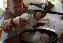 Dračky u Ľubici v Klenici