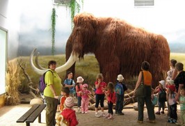 ZOO Dvůr Králové