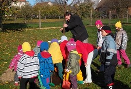 sázení Stračov