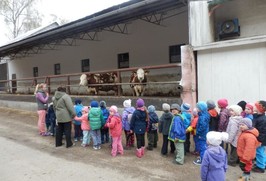 DUBEN 2016 V MATEŘSKÉ ŠKOLE STRAČOV