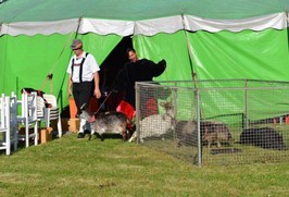 Cirkus foto J.Souček
